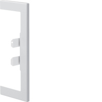 TEHALIT.BRN65/ BR65 MASKOWNICA NA PRZEBICIE W ŚCIANIE 65X170, BIAŁY